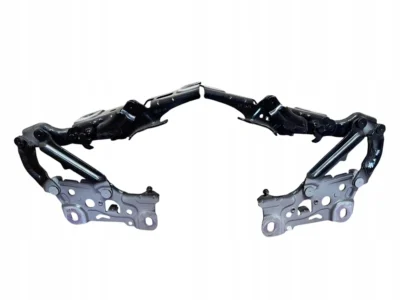 HINGES HINGE LEFT + RIGHT COMPLETE BMW 5 G30 G31 416 IDEAŁ