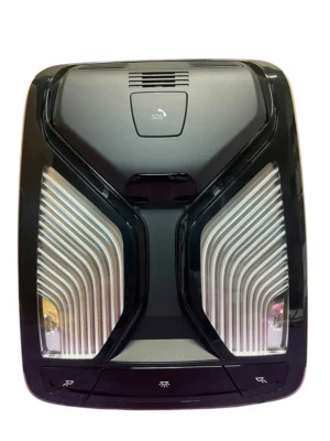 HEADLINER PANEL LIGHT BMW X3 G01 X4 G02 LCI PERFECT