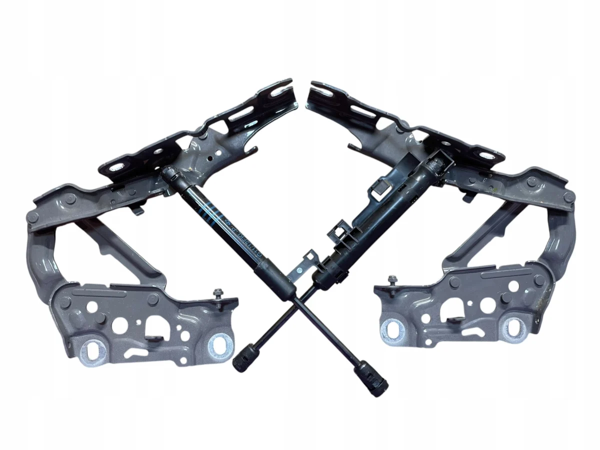 HINGES HINGE LEFT + RIGHT SET BMW 5 G30 G31 C3E PERFECT